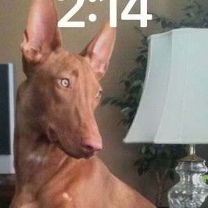 Meet your Posher, Keith